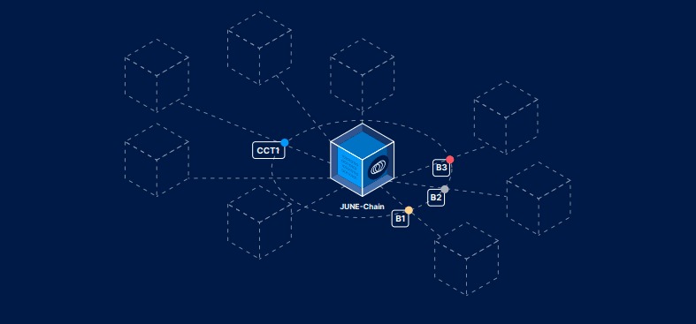 Cross-Chain Transfers