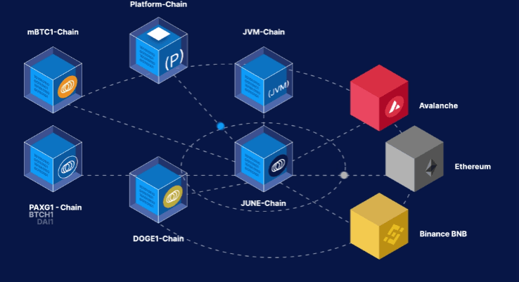 What is the Juneo Primary Network?